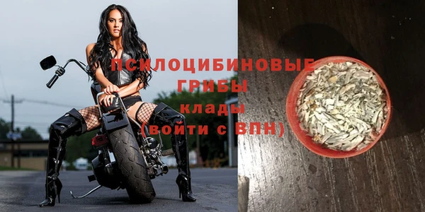 стафф Балахна