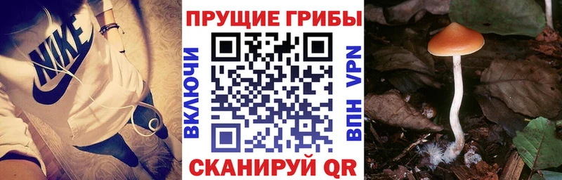 Псилоцибиновые грибы Magic Shrooms  KRAKEN ТОР  Серов  площадка Telegram  что такое наркотик 